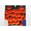 Gerbera Mi Diamond Garfield