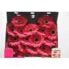 Gerbera Mi Diamond Gustav