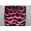 Gerbera Mi Diamond Isabelle