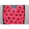 Gerbera Mi Diamond Ivy Mea