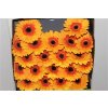 Gerbera Mi Diamond Jazzy
