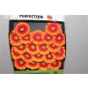 Gerbera Mi Diamond Kiwano