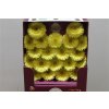 Gerbera Mi Diamond Lemon Ice