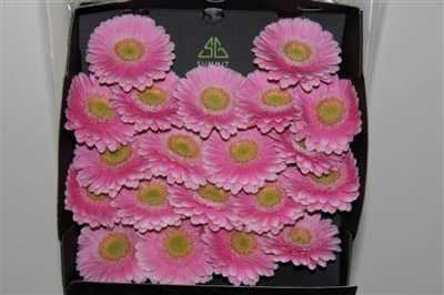 Gerbera Mi Diamond Milo