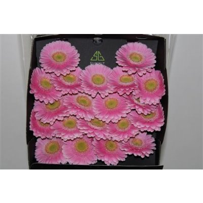 Gerbera Mi Diamond Milo