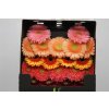 Gerbera Mi Diamond Mixed Elite