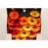 Gerbera Mi Diamond Mixed Orange