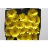 Gerbera Mi Diamond Moreno