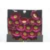 Gerbera Mi Diamond Noud