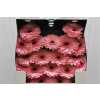 Gerbera Mi Diamond Petticoat