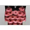 Gerbera Mi Diamond Petticoat