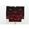 Gerbera Mi Diamond Pomponi Black Pearl
