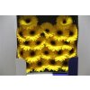 Gerbera Mi Diamond Sailor