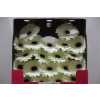 Gerbera Mi Diamond Snowy