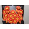 Gerbera Mi Diamond Spider Fairytale