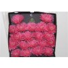 Gerbera Mi Diamond Spider Firefly