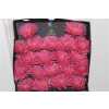 Gerbera Mi Diamond Spider Firefly