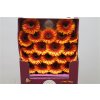 Gerbera Mi Diamond Wakita