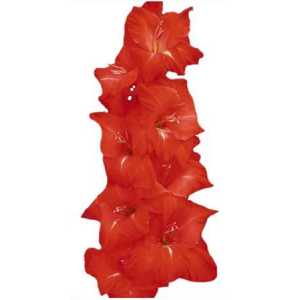Glad Orange