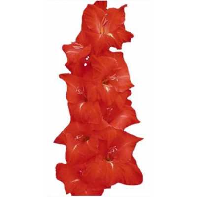 Glad Orange