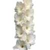 Glad White