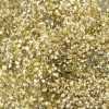 Gyps Million Star Glitter Gold