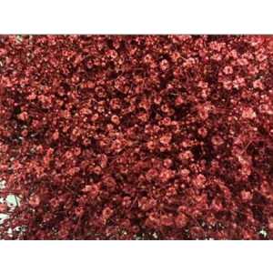 Gyps Million Star Painted Borbeaux