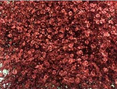 Gyps Million Star Painted Bordeaux Glitter