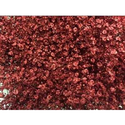 Gyps Million Star Painted Bordeaux Glitter