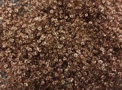 Gyps Million Star Painted Copper Glitter