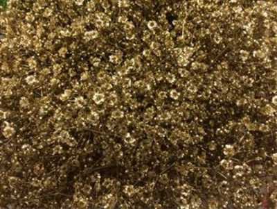 Gyps Million Star Painted Gold