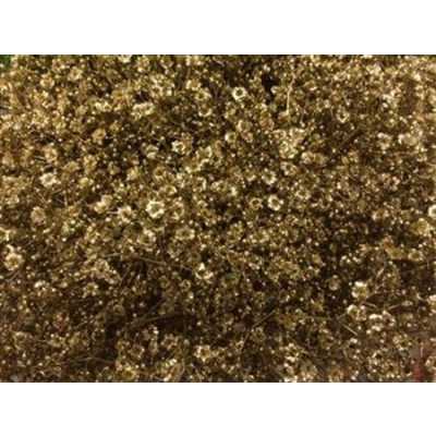 Gyps Million Star Painted Gold Glitter