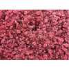 Gyps Million Star Painted Pink