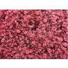 Gyps Million Star Painted Pink Glitter