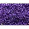 Gyps Million Star Painted Purple