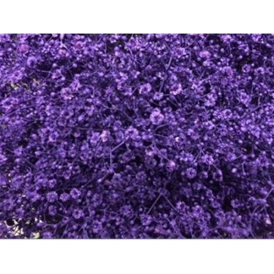 Gyps Million Star Painted Purple Glitter