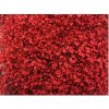 Gyps Million Star Painted Red