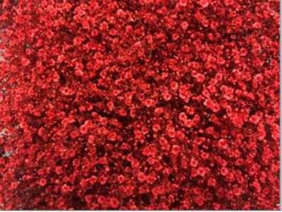Gyps Million Star Painted Red