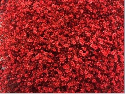 Gyps Million Star Painted Red