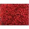 Gyps Million Star Painted Red Glitter