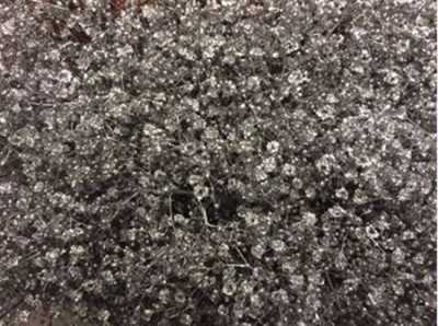 Gyps Million Star Painted Silver