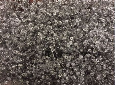 Gyps Million Star Painted Silver Glitter