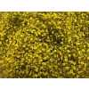 Gyps Million Star Painted Yellow