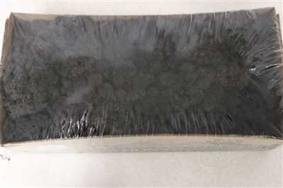 Ijslandsmos Pr Black