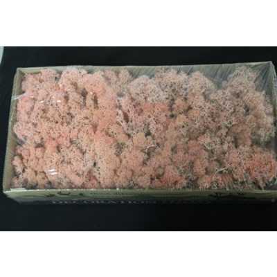 Ijslandsmos Pr Light Pink