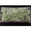 Ijslandsmos Pr Mint Groen