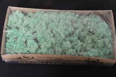 Ijslandsmos Pr Pacific Groen