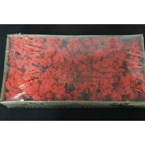 Ijslandsmos Pr Red