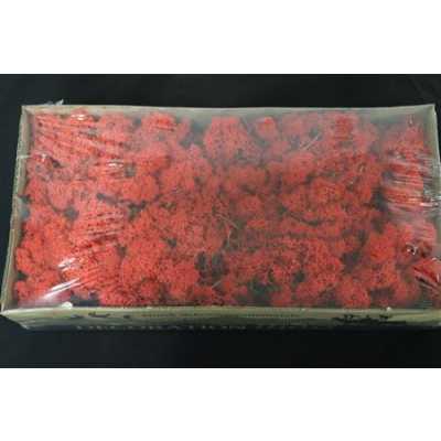 Ijslandsmos Pr Red