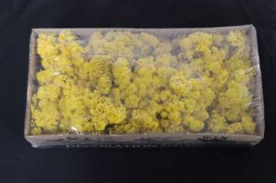 Ijslandsmos Pr Yellow
